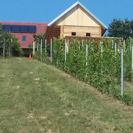 & Wine Lilek * Sentilj