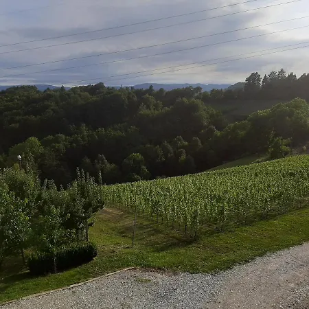 & Wine Lilek Sentilj