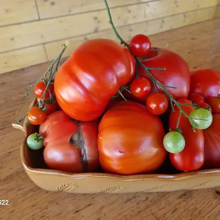 Çiftlik konaklama & Wine Lilek Sentilj
