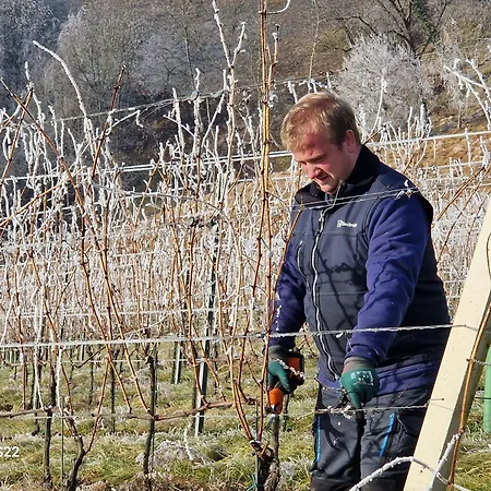 Alloggio per agriturismo & Wine Lilek