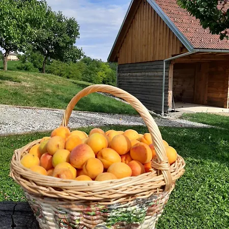 & Wine Lilek Sentilj