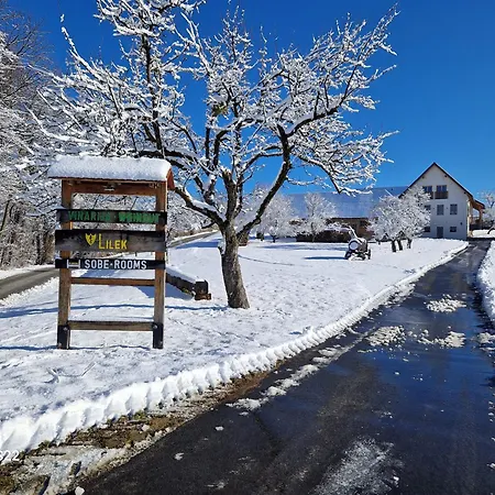 & Wine Lilek Bivanje na kmetiji *