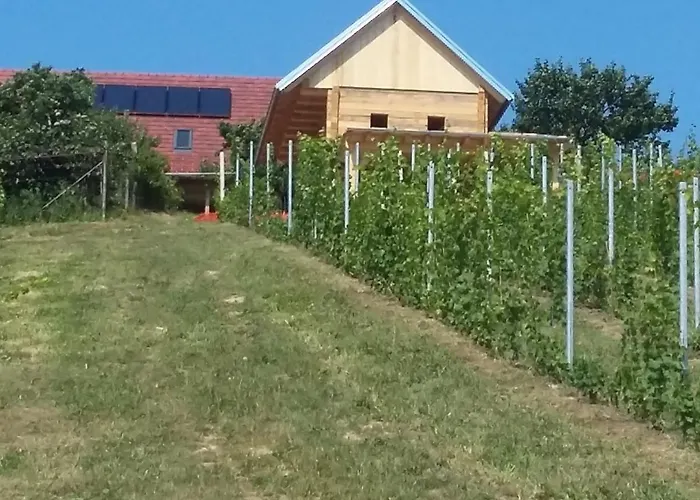 & Wine Lilek * Sentilj