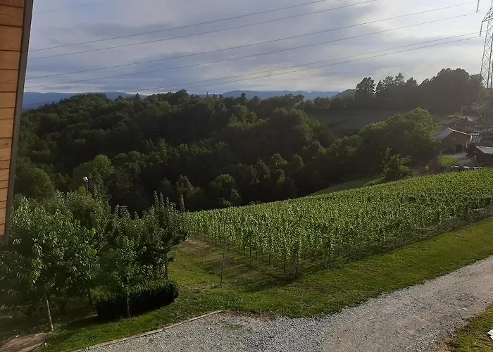 & Wine Lilek Sentilj