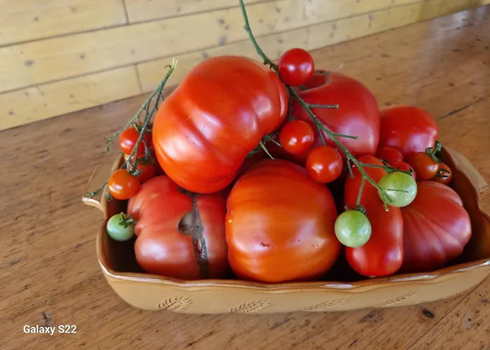Çiftlik konaklama & Wine Lilek Sentilj