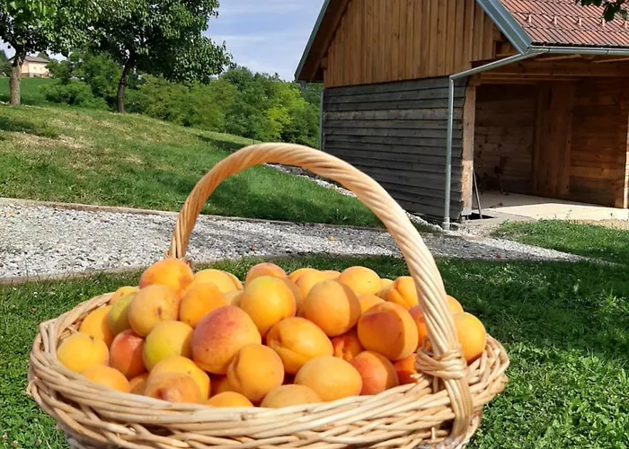 & Wine Lilek Sentilj